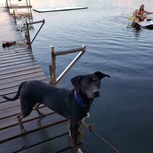 Meet your Posher, Lisa